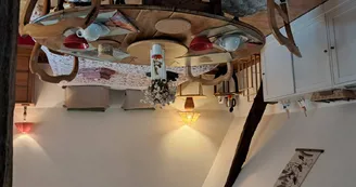 Chat-hirsute-2025-chambr-config-lit-double-3