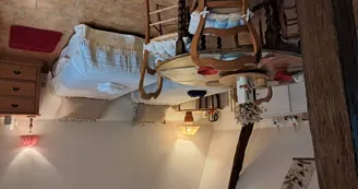 Chat-hirsute-2025-config-lits-jumeaux-1