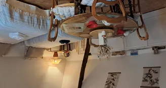 Chat-hirsute-2025-config-lits-jumeaux-3