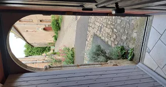 Chat-hirsute-2025-entrée-maison