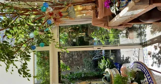 Chat-hirsute-2025-jardinet-1