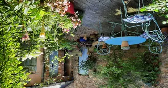 Chat-hirsute-2025-jardinet-2