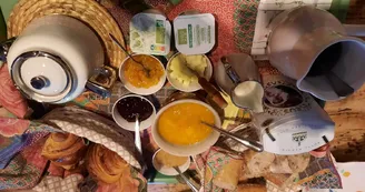 Chat-hirsute-2025-petit-dej-2