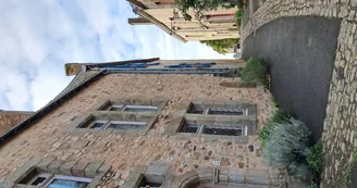 Chat-hirsute-2025-rue-Belle-Etoile