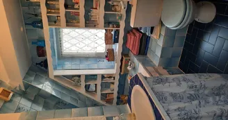 Chat-hirsute-2025-Salle-de-bain-1