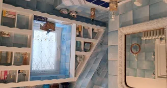 Chat-hirsute-2025-Salle-de-bain-2