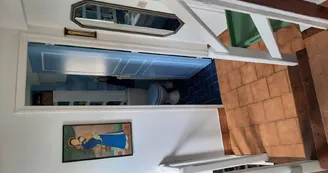 Chat-hirsute-2025-salle-de-bain-3