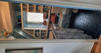 Chat-hirsute-2025-salle-de-bain-4