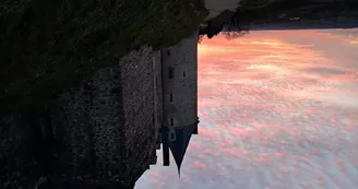 Chat-hirsute-2025-Ste-Suz-2