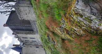 Chat-hirsute-2025-Ste-Suz-3