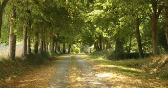 Chambre d'hote de charme