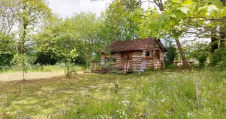 H53G023637_645bfee02dfd3