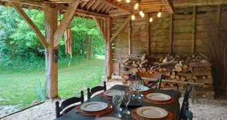 H53G023637_645bfef4e5949