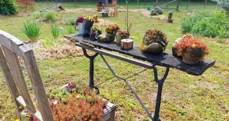 446642-2_H53G023624_645c001e68209_740c7b12c0ba8311a4bb1852b70e308d