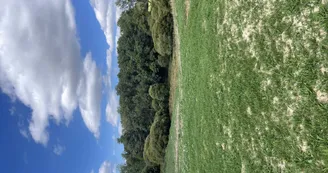 Gite de la Vallée - Environnement