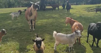 Ecodomaine rêver ailleurs