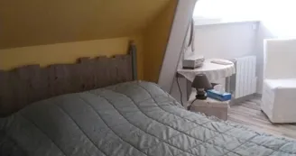 LES HORTENSIAS ROSES - STE MARIE DU BOIS