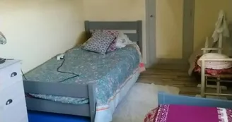 LES HORTENSIAS ROSES - STE MARIE DU BOIS