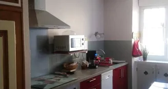 LES HORTENSIAS ROSES - STE MARIE DU BOIS