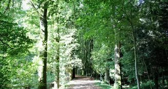 Arboretum et parc de 12 ha