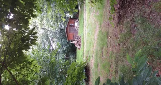 promenade en sous bois