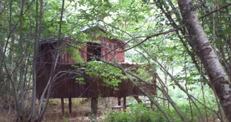 cabane des enfants en sous bois