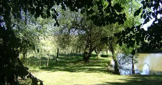 étang pour la pêche