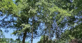 sous le soleil de la Mayenne