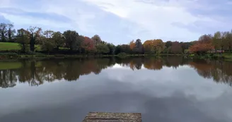 Fougerolles du plessis aire naturelle camping- 13