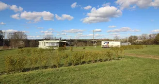 IMG_3743 Mobil-Homes