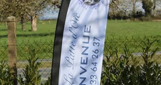 IMG_3774 Large e-mail view