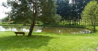 2022-04-25 Aire naturelle de camping à Blandouet5