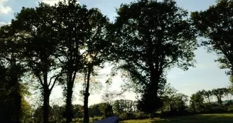 extérieur aire naturelle