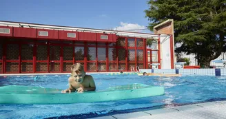 Piscine de Gorron- Gorron 53  © Prisma - Bocage Mayennais - 4