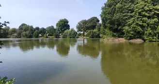 Espace touristique du Mûrier Craon ©A.Maire Sud Mayenne Tourisme (10)