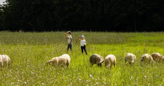 Villette_en_Direct-CP-Pascal_BELTRAMI_-_Mayenne_Tourisme-10151-1920px