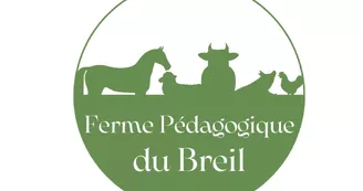 416116428_381079637730704_5963617711403237172_n