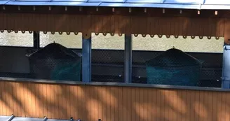 Le bateau lavoir Saint-Julien Laval