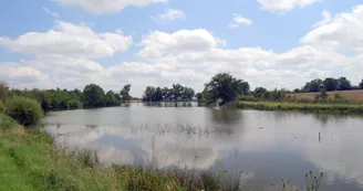VIGNE ET ETANGS DE LA MORINIERE