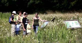 tourbiere-bizeult-ernee-53-1