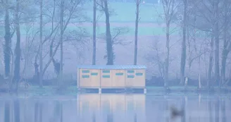 etang-neuf-juvigne-53-2