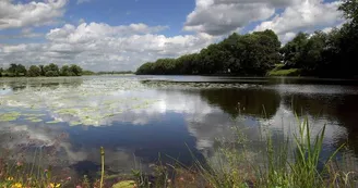 etang-neuf-juvigne-53-3