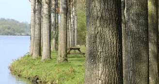 etang-neuf-juvigne-53-8