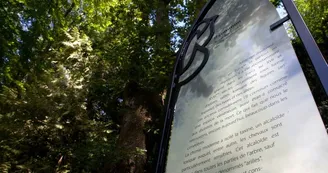 arboretum-de-pontmain-pontmain-53-pcu (1)