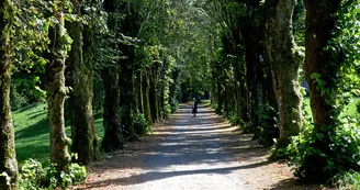 sentier-d-interpretation-arboretum-pontmain-53-iti-cp greboval (10)