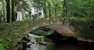 sentier-d-interpretation-arboretum-pontmain-53-iti-cp greboval (11)