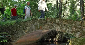 sentier-d-interpretation-arboretum-pontmain-53-iti-cp greboval (12)