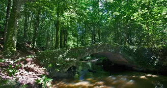 sentier-d-interpretation-arboretum-pontmain-53-iti-cp greboval (5)