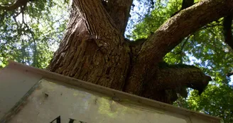 sentier-d-interpretation-arboretum-pontmain-53-iti-cp greboval (8)