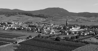 Grand cru Altenberg,